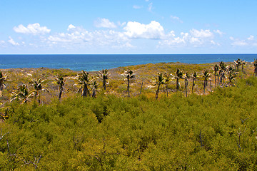 Image showing isla contoy   sand   in   foam  the sea drop sunny day   