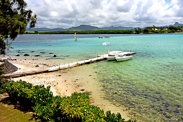 Image showing lagoon  beach seaweed in yacht