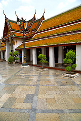 Image showing gold    temple   in   bangkok plant pavement