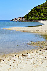 Image showing asia in  kho phangan thailand bay isle beach     