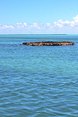 Image showing isla contoy   in mexico froath   sunny day  wave