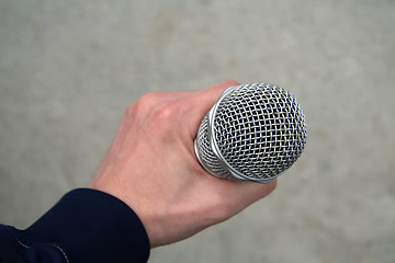 Image showing mic in hand