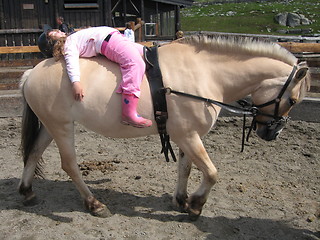 Image showing Tired horsebackrider