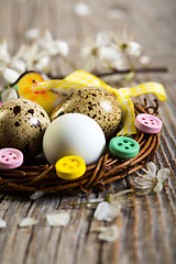 Image showing Colorful Easter nest with quail eggs closeup.