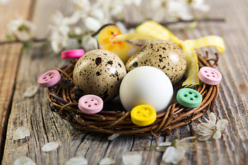 Image showing Easter nest with quail eggs.