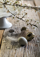 Image showing Easter still life with a flowering branch.