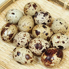 Image showing Quail eggs.