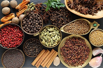 Image showing Spices