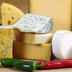 Image showing Cheese