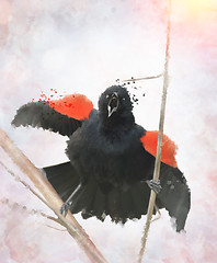 Image showing Red Winged Blackbird Watercolor