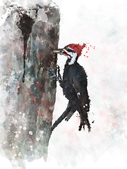 Image showing Pileated Woodpecker Watercolor