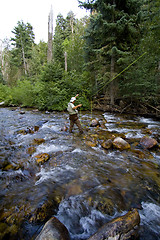 Image showing Fisherman in River