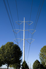 Image showing Power Lines over the Trees