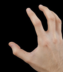 Image showing White hand on black