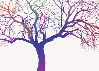 Image showing Rainbow Tree