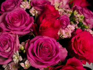 Image showing Bouquet of beautiful pink roses at closeup