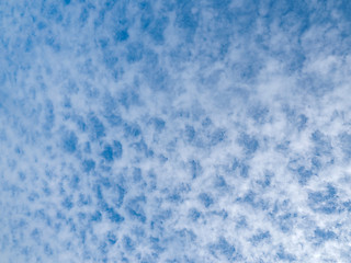 Image showing Lots of cloud dots on a partly cloudy blue sky