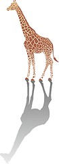 Image showing Giraffe with shadow 