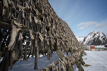 Image showing A flake for drying fish