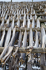 Image showing A flake for drying fish