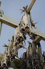 Image showing A flake for drying fish