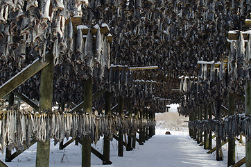 Image showing A flake for drying fish