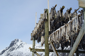 Image showing A flake for drying fish