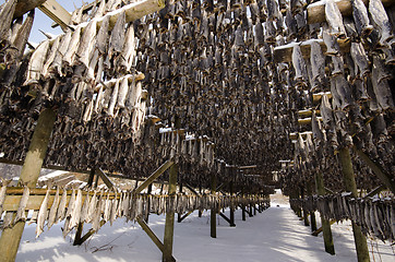 Image showing A flake for drying fish