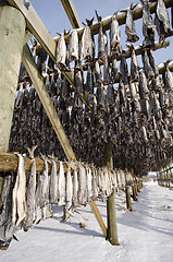 Image showing A flake for drying fish