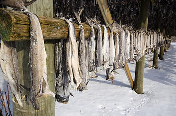 Image showing A flake for drying fish