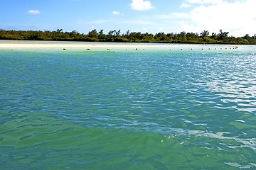 Image showing beach ile du cerfs seaweed  indian ocean sky and rock