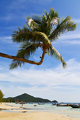 Image showing sun ligt asia in the  kho tao   south china sea anchor