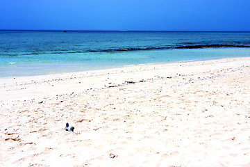 Image showing zanzibar beach  seaweed in indian rock