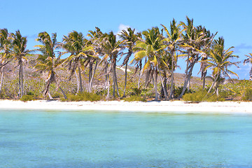 Image showing isla contoy   sand   in   wave