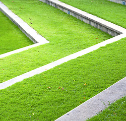 Image showing thailand abstract  grass in the temple  bangkok  asia 