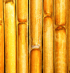 Image showing thailand abstract cross bamboo in the temple kho phangan  