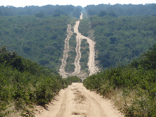 Image showing Savannah road