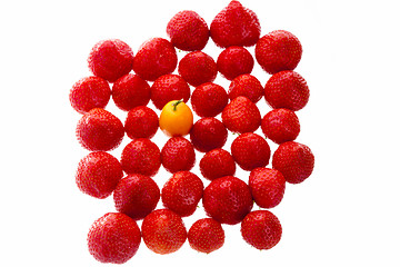 Image showing Single Kumquat In A Crowd Of Strawberry Fruits