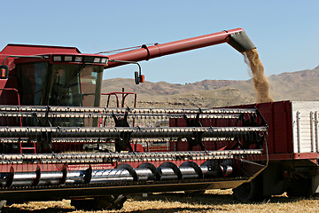 Image showing harvest