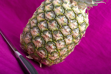 Image showing fresh pineapple