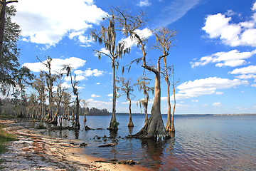 Image showing Lake