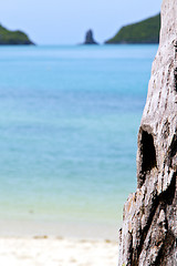 Image showing asia   beach  tree  rocks in thailand  and south china sea 