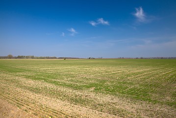 Image showing Agriculture