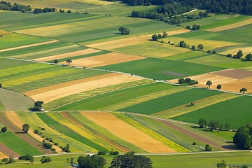 Image showing Fields