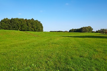 Image showing Green Field