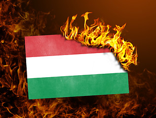 Image showing Flag burning - Hungary