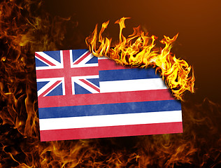 Image showing Flag burning - Hawaii