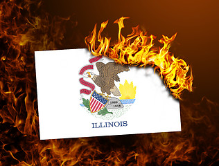 Image showing Flag burning - Illinois