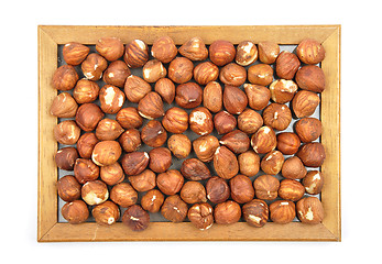 Image showing Hazelnuts in wooden frame