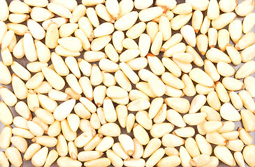 Image showing Pine nuts background